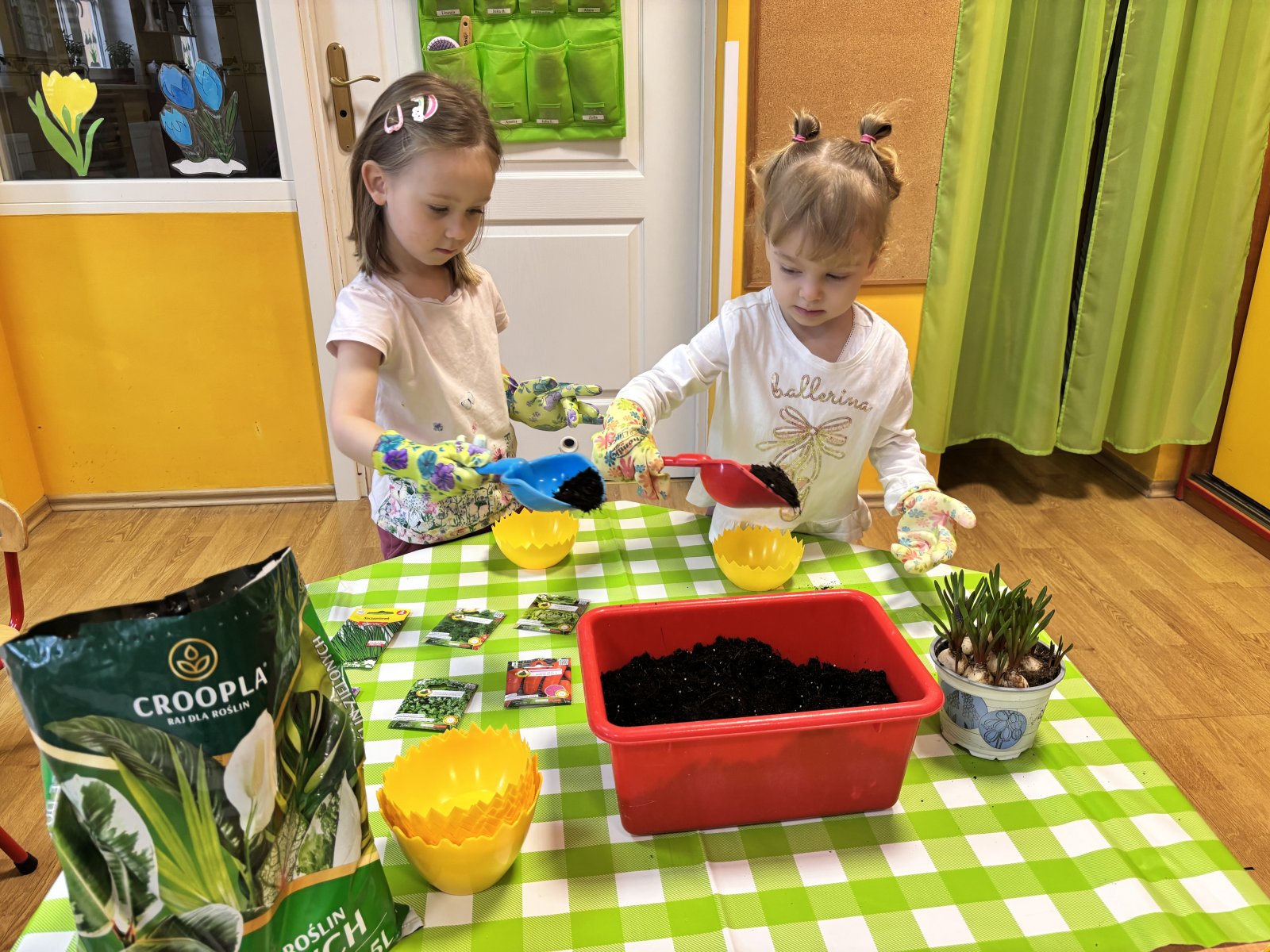 Ogródek „Stokrotek”