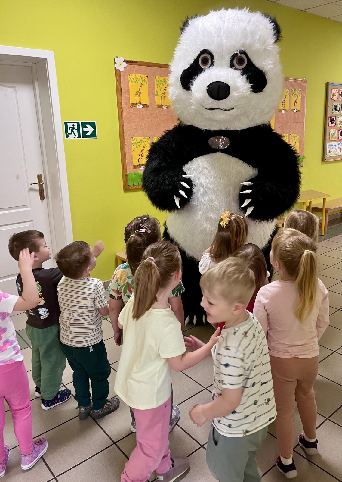 Panda w przedszkolu